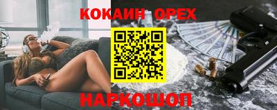 шишки Владимир