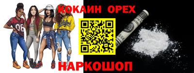 шишки Владимир