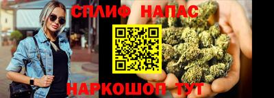 шишки Владимир