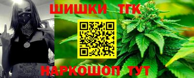 шишки Владимир