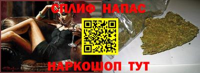 шишки Владимир