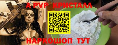 шишки Владимир