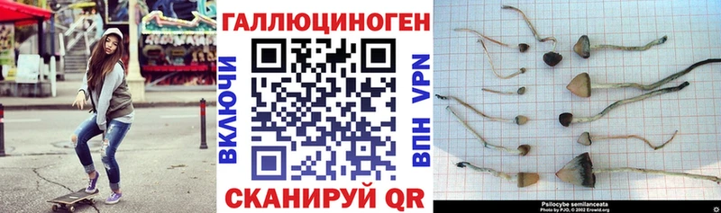 Галлюциногенные грибы GOLDEN TEACHER  Белая Калитва 