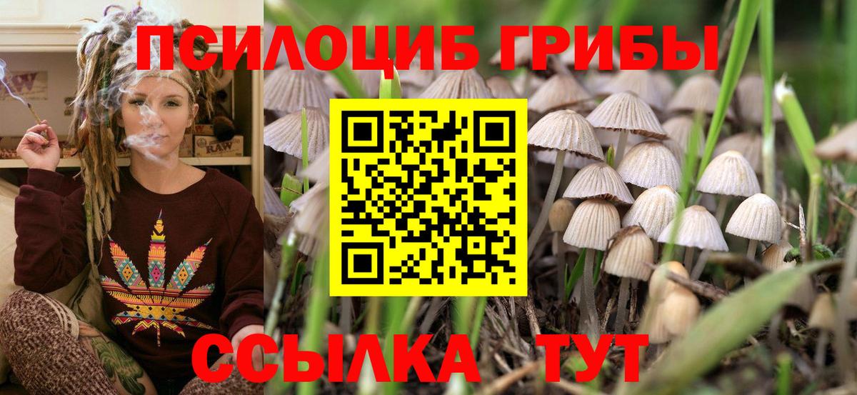 NBOMe  Вход с VPN  ГАШИШ  КОКАИН  Белая Калитва  ГАШИШ  Канабис  Экстази  Меф кристаллы  Конопля  МЕТАМФЕТАМИН 