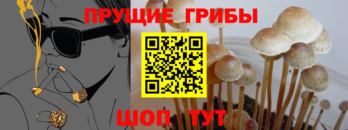 Псилоцибиновые грибы ЛСД Белая Калитва