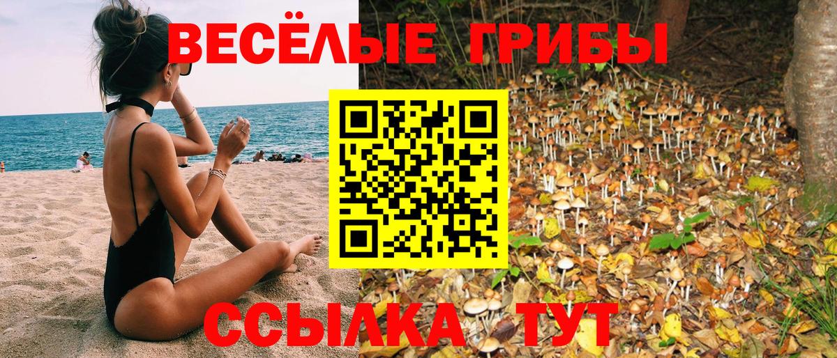 Белая Калитва  Галлюциногенные грибы ЛСД  Вход с VPN  даркнет сайт  Псилоцибиновые грибы MAGIC MUSHROOMS 